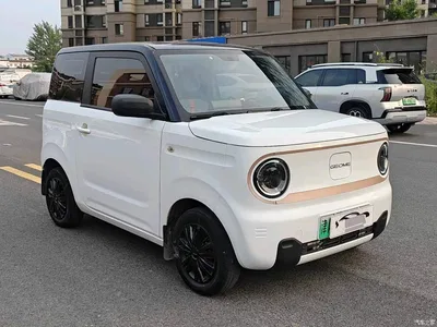 2023 Geely Galaxy Panda Mini 200km Endurance Bear, фото 3, лот 10837472