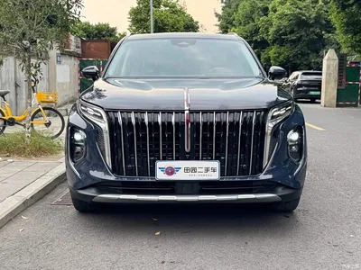 2023 Hongqi HS7 2.0T Automatic 4WD Flag Leader Edition (6-seater), фото 2, лот 10286814