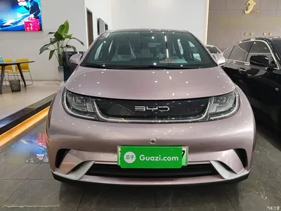 2021 BYD Dolphin Model 405km Fashion Edition, фото 3, лот 10263983
