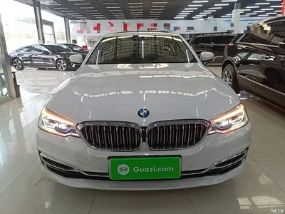 2020 BMW 5 Series New Energy 530Le Luxury Package, фото 3, лот 11249515