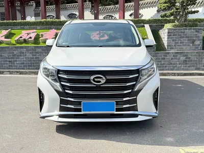 2021 GAC Trumpchi Trumpchi M8 Leading Show Series 390T Luxury Edition, фото 2, лот 10598531