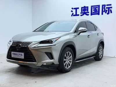 2018 Lexus NX Model 200 AWD Fengshang Edition China V, фото 1, лот 10395923