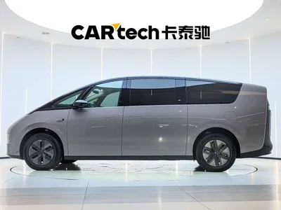2025 Li Auto MEGA Model Home Family Special Edition, фото 3, лот 10386600