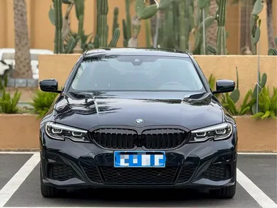 2020 BMW 3 Series Facelift 325Li M Sport Package, фото 3, лот 10819341