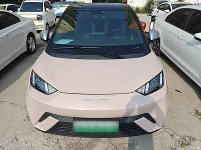 2024 BYD Seagull Glory Edition 305km Vitality Edition, фото 3, лот 10259759