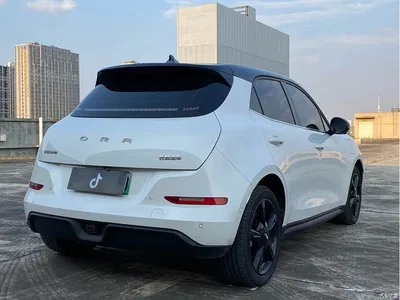 2024 Ora Good Cat 401km Anniversary Edition, фото 4, лот 10331856