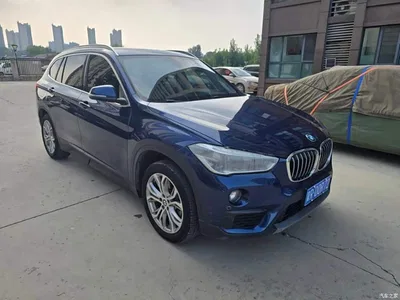 2019 BMW X1 sDrive20Li Leading Model, фото 3, лот 11197138