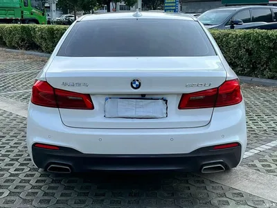 2020 BMW 5 Series 530Li Exclusive M Sport Package, фото 4, лот 10621729