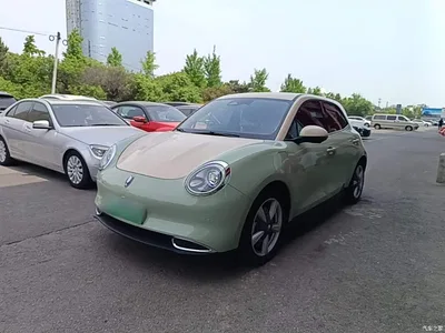2021 Ora Good Cat 400km Standard Range Athena Edition (NCM), фото 2, лот 10330913