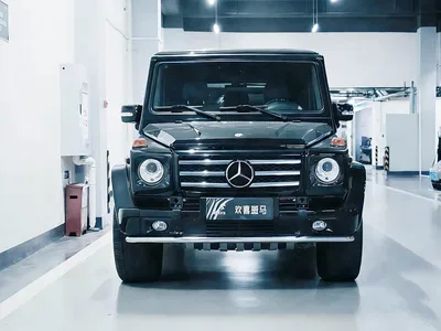 2009 Mercedes-Benz G-Class AMG AMG G 55, фото 2, лот 10299211