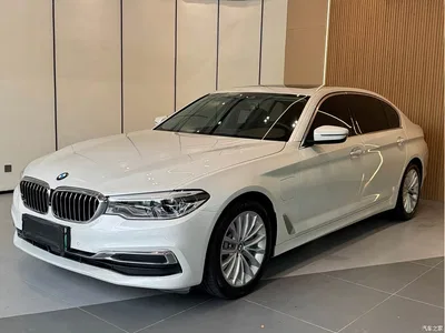 2020 BMW 5 Series New Energy 530Le Pioneer Edition, фото 1, лот 10474153
