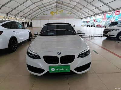 2019 BMW 2 Series (Import) 225i Convertible Coupe Sport Design Package, фото 3, лот 11468497