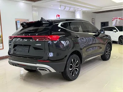 2023 Haval H6 National Trend Edition 1.5T Automatic Urban, фото 4, лот 10383514