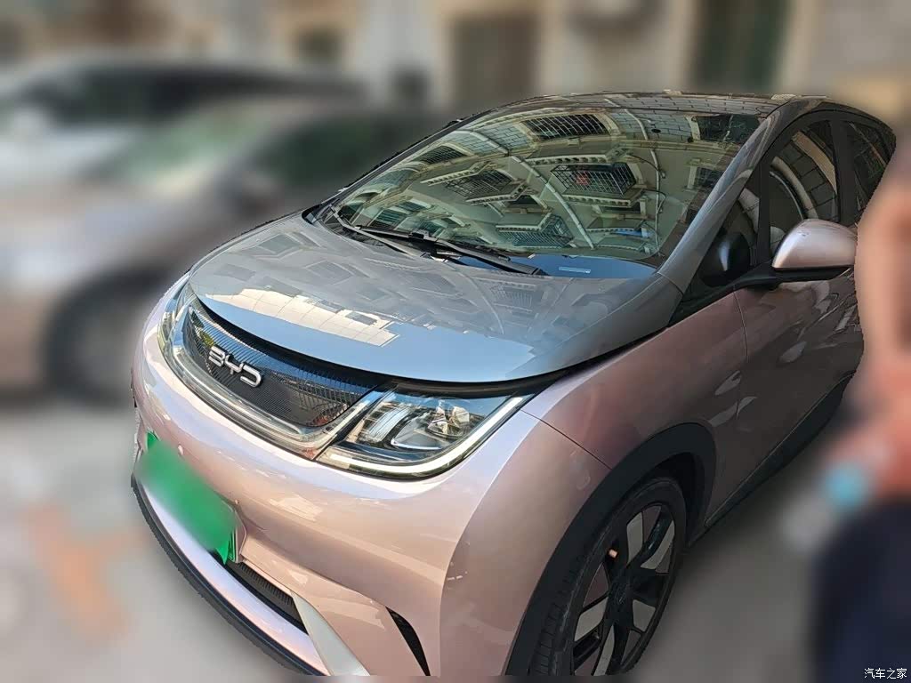 2021 BYD Dolphin 401km Knight Edition, фото 1, лот 11205401