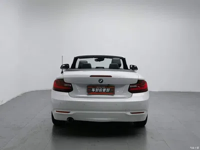 2015 BMW 2 Series (Import) 218i Convertible Coupe, фото 4, лот 10476140
