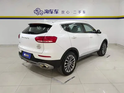 2020 Haval H6 2.0GDIT Automatic Platinum Champion Edition, фото 3, лот 10296275
