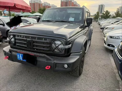 2024 Tank 300 Model 2.0T Challenger, фото 2, лот 11199643