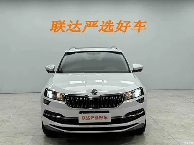 2025 Škoda Karoq TSI280 Luxury Edition, фото 3, лот 10348861
