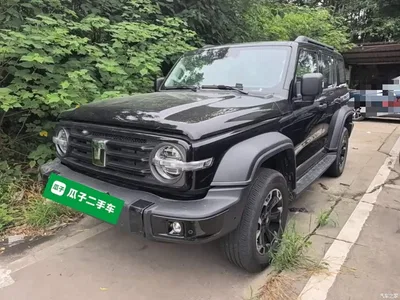 2025 Tank 300 New Energy Hi4-T, фото 1, лот 10345442
