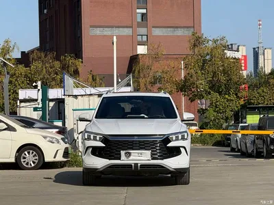 2024 BYD Song Pro New Energy Glory Edition DM-i 110KM Surpassing, фото 2, лот 10400021