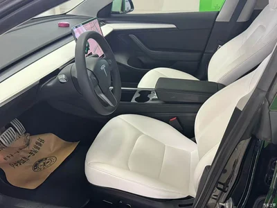 2021 Tesla Model 3 Performance High-Performance All-Wheel Drive, фото 4, лот 10351908