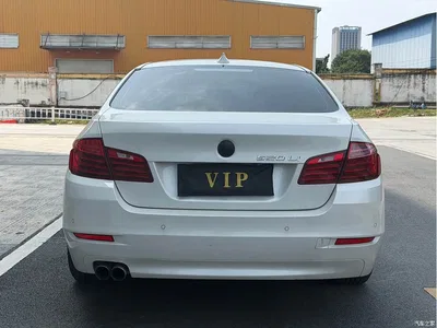 2014 BMW 5 Series 520Li Elegance, фото 4, лот 10443862