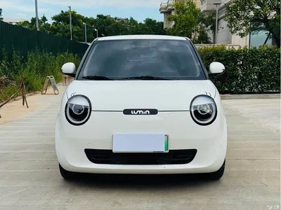 2025 Changan Qiyuan Changan Lumin 205km Fragrant Infusion Edition, фото 2, лот 10889559