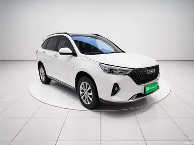 2021 Haval M6 PLUS 1.5T DCT Luxury Smart Connect, фото 3, лот 10300843