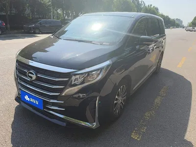2023 GAC Trumpchi Trumpchi M8 Leading Series 390T Ultimate Edition, фото 1, лот 10416826