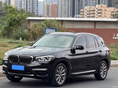2021 BMW X3 xDrive25i Luxury Package, фото 1, лот 10383541