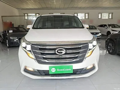 2018 GAC Trumpchi Trumpchi M8 320T Premium Edition, фото 3, лот 11087291
