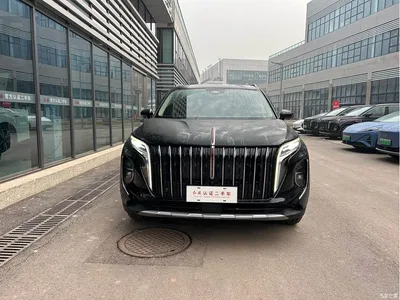 2024 Hongqi HS7 PHEV 2.0T PHEV 4WD Flagship Edition 6-seater, фото 2, лот 10287850