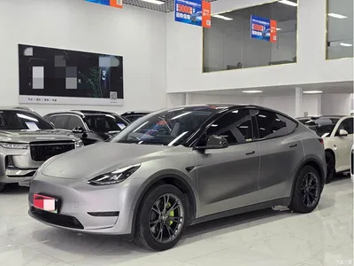 2023 Tesla Model Y Rear-Wheel Drive Edition, фото 1, лот 10817552
