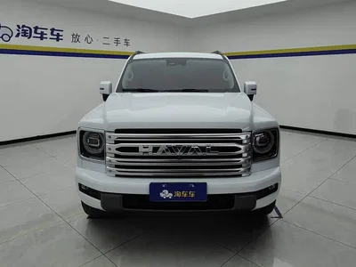 2024 Haval H9 2.0T Gasoline AWD Extreme Edition, фото 2, лот 10298862