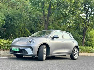 2025 Ora Good Cat 430km Honor Edition, фото 1, лот 10330624