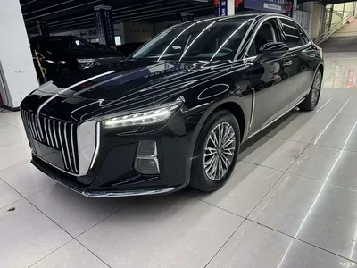 2024 Hongqi H5 2.0T Automatic Smart Connect Flag Smooth Edition, фото 1, лот 11396603