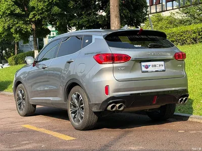 2021 WEY VV6 2.0T 2WD Smart Enjoyment+, фото 4, лот 10451305