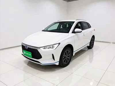 2021 BYD e2 Luxury Edition, фото 1, лот 10326857