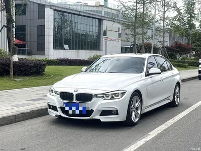 2017 BMW 3 Series 320Li M Sport, фото 1, лот 11180294