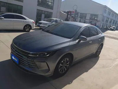 2024 BYD Destroyer 05 Glory Edition DM-i 55KM Luxury, фото 2, лот 10616089