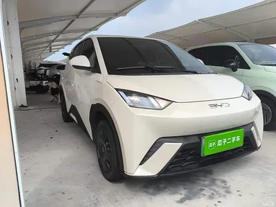 2024 BYD Seagull Glory Edition 305km Vitality Edition, фото 4, лот 10260429