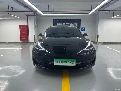 2022 Tesla Model 3 Model Rear-Wheel Drive Version, фото 2, лот 10403492