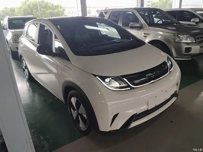 2023 BYD Dolphin 420km Fashion Edition, фото 4, лот 10671070