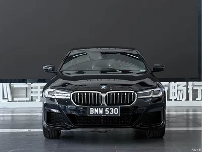 2023 BMW 5 Series 530Li Leading M Sport Package, фото 2, лот 11213225