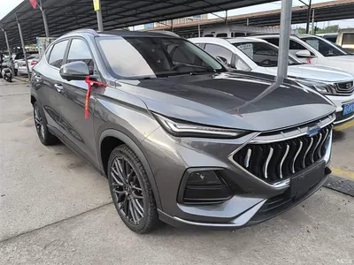 2021 Changan Oshan Changan Oushang X5 1.5T DCT Flagship, фото 4, лот 11162530