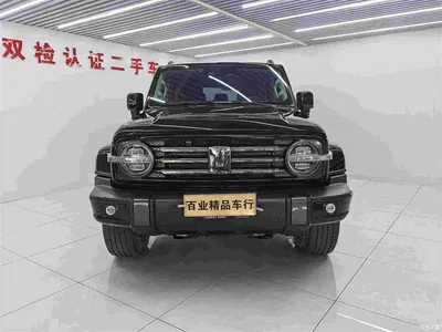 2021 Tank 300 Urban Edition 2.0T Stylish, фото 2, лот 11223893