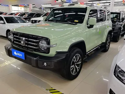 2021 Tank 300 Urban Edition 2.0T Stylish, фото 1, лот 10344720