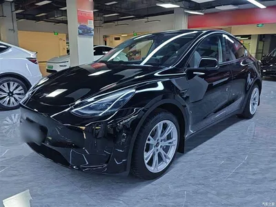 2022 Tesla Model Y Facelift Rear-Wheel Drive Version, фото 1, лот 10374205