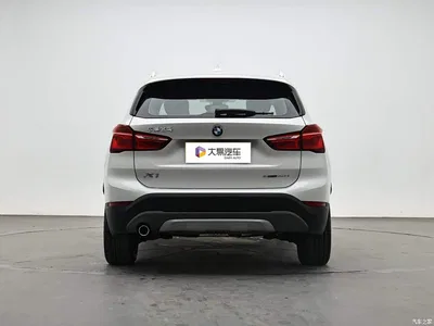 2019 BMW X1 sDrive18Li Premium Model, фото 4, лот 11089030