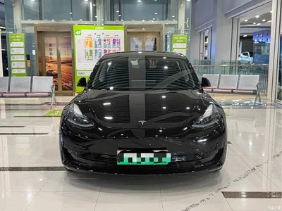 2022 Tesla Model 3 Model Rear-Wheel Drive Version, фото 2, лот 10453707
